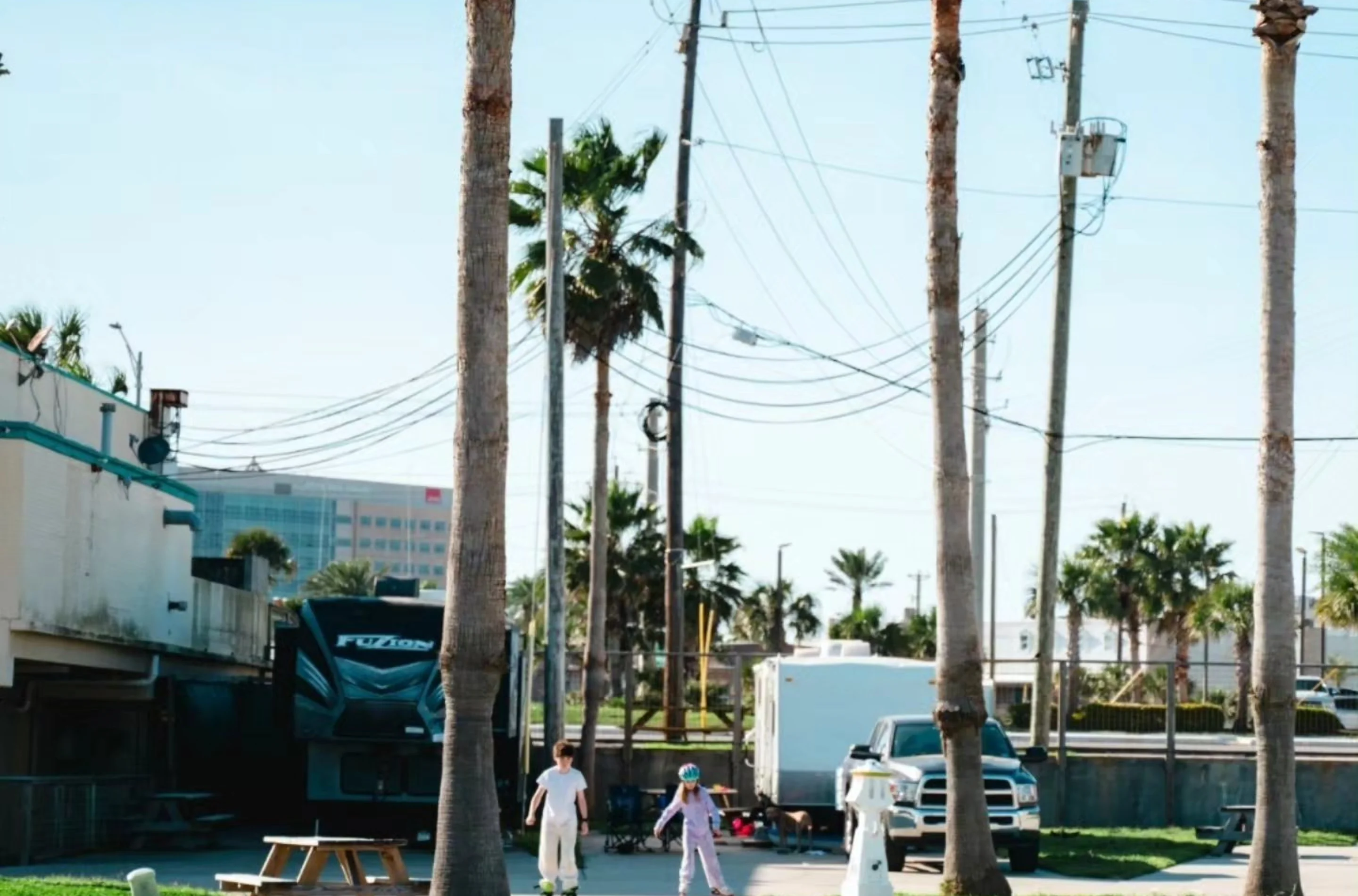 Palms and rigs along the gated back-in sites