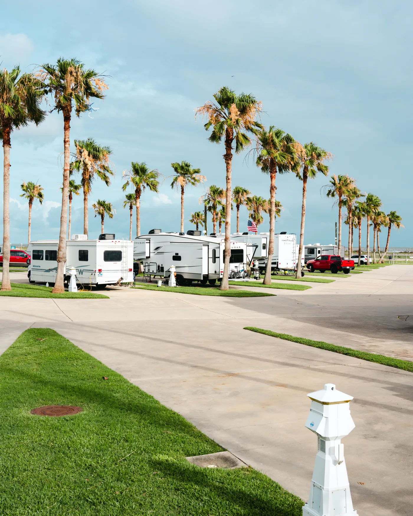 Full-hookup RV sites along a palm-lined resort lane